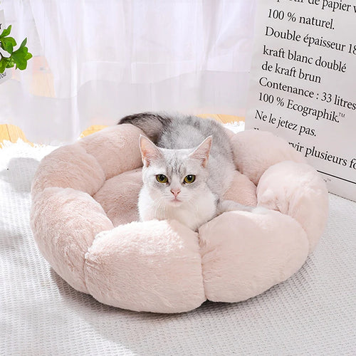 Cama branca para gatos 🐾🤍