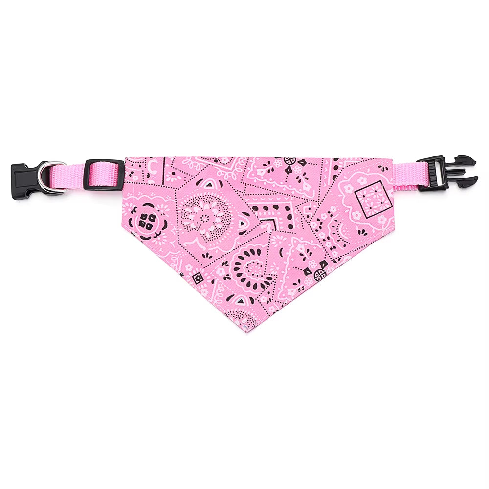 Coleira bandana 🐶