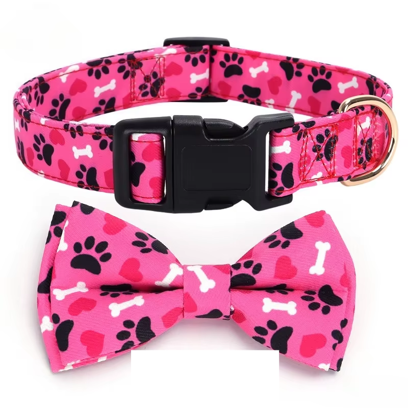 Coleira com lacinho 💕🎀