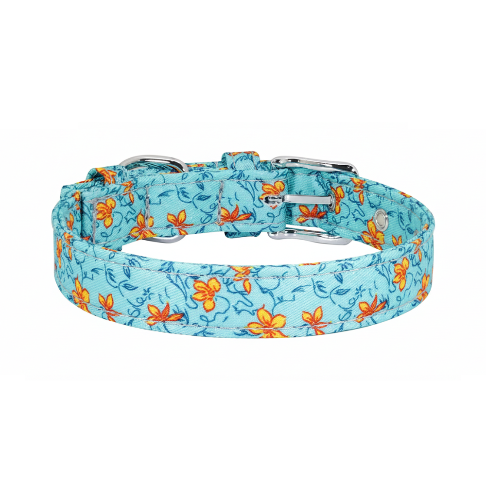 Coleira floral azul 💙🏵️