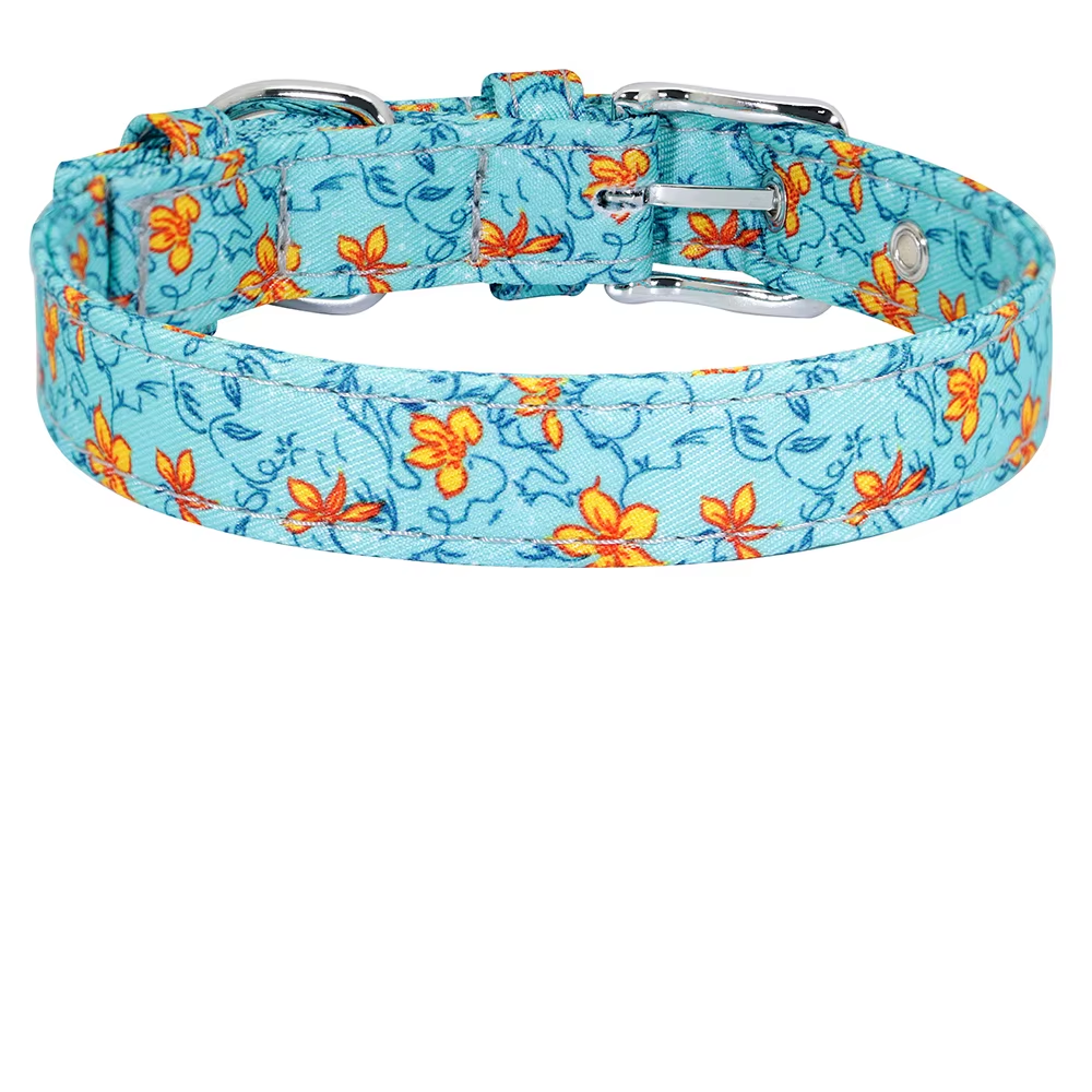 Coleira floral azul 💙🏵️