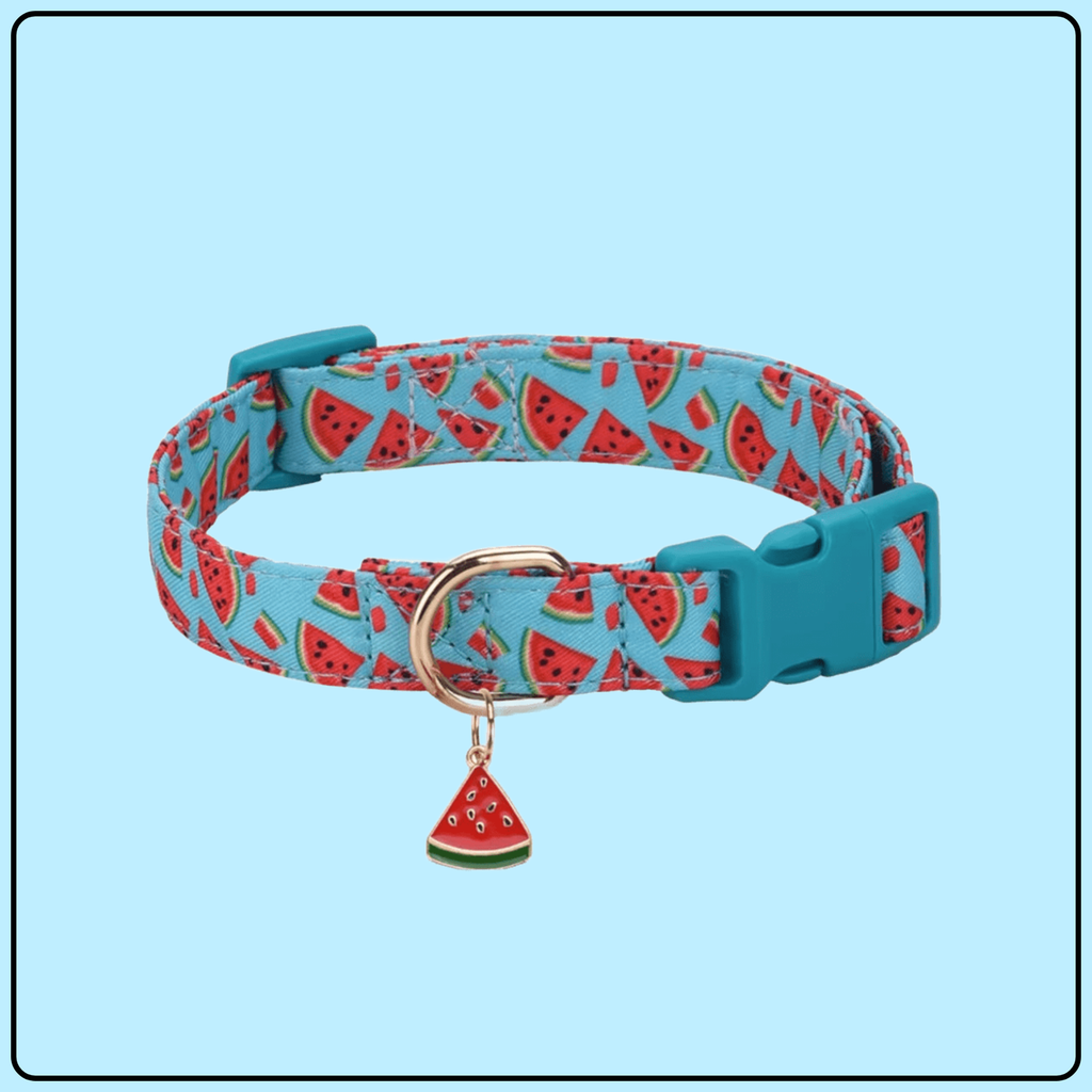 💙🍉 Coleira Estilo Melancia 🐾