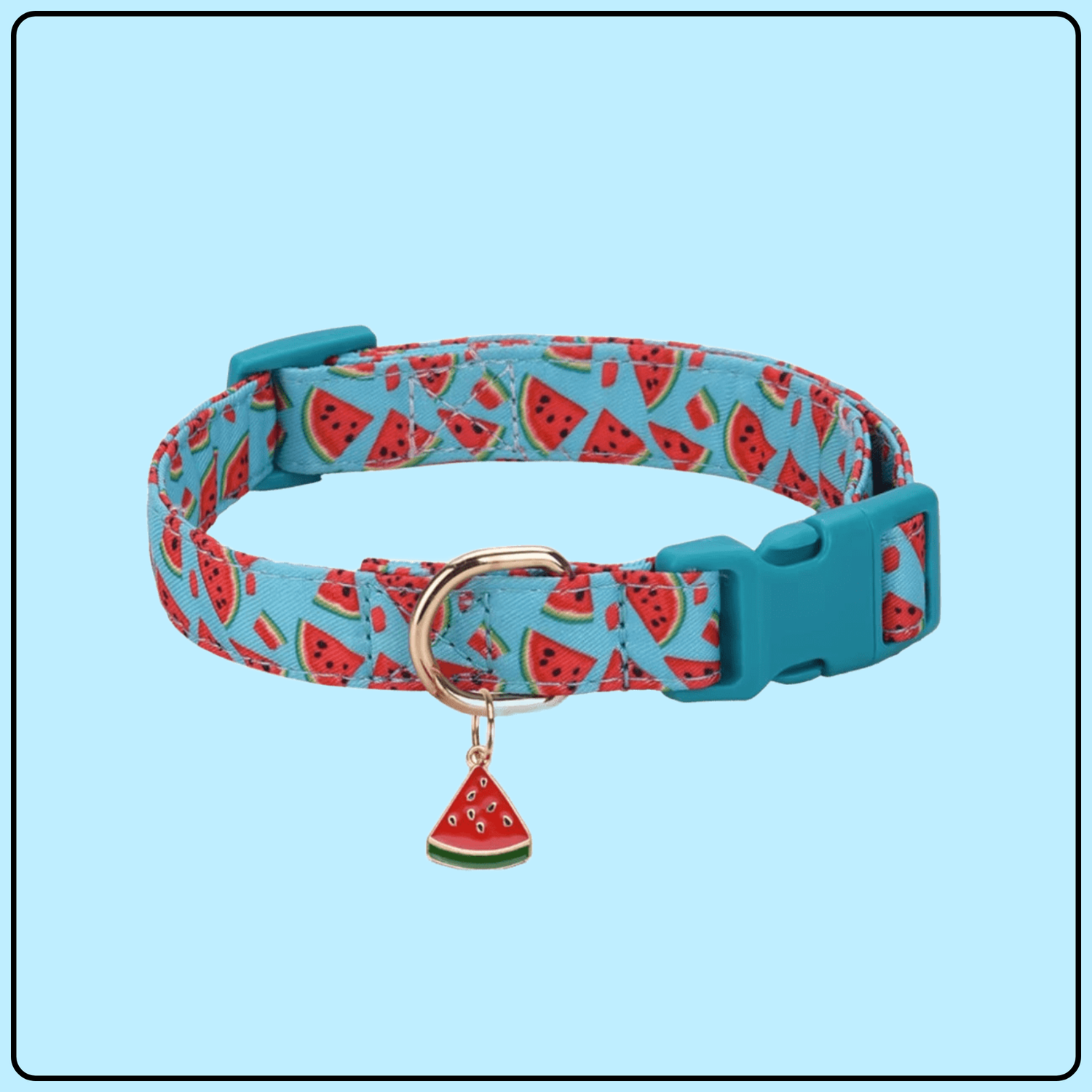 💙🍉 Coleira Estilo Melancia 🐾
