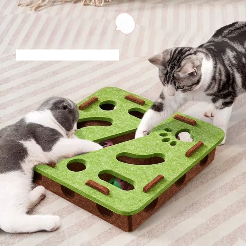 Caixa interativa 💚