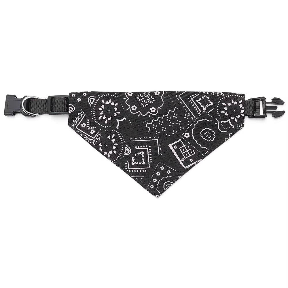 Coleira bandana 🐶