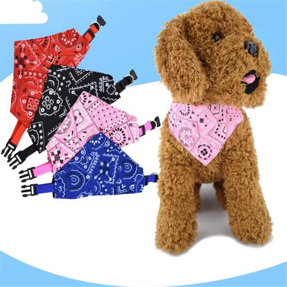 Coleira bandana 🐶