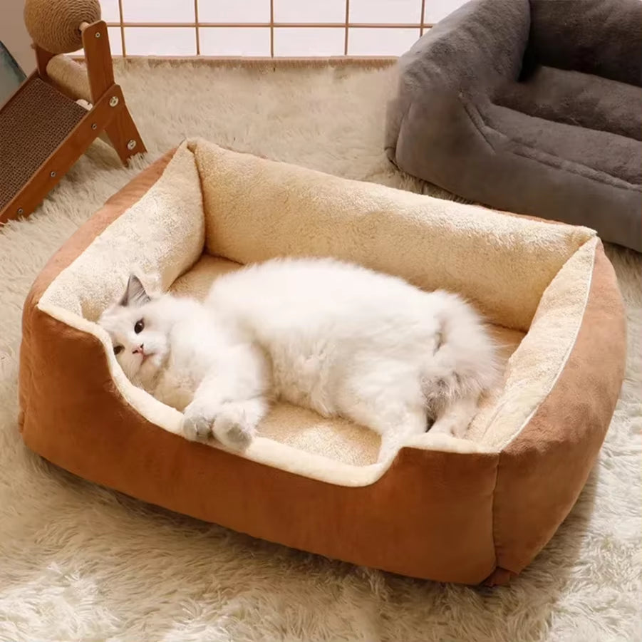 Cama castanha para gatos 🐾🤎