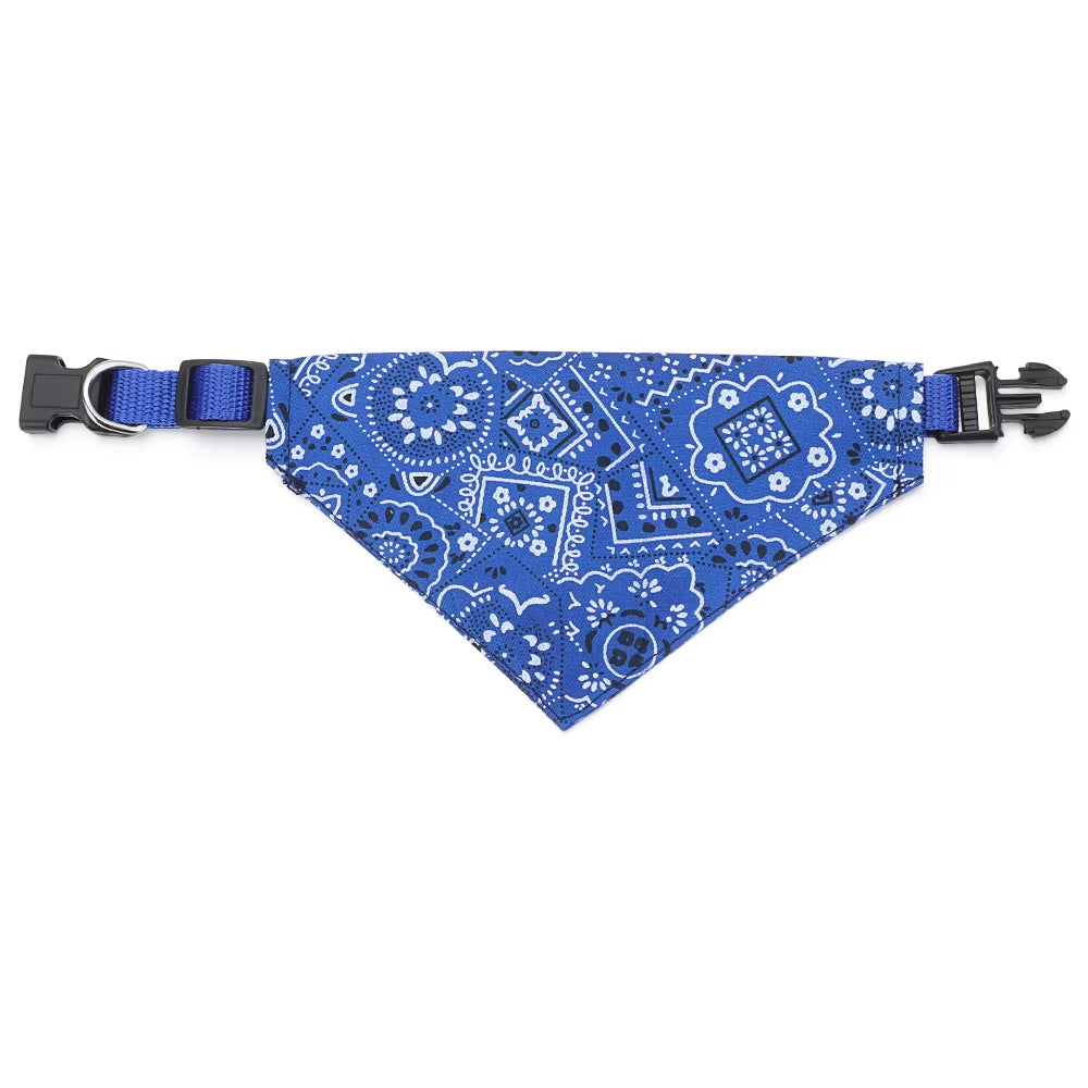 Coleira bandana 🐶