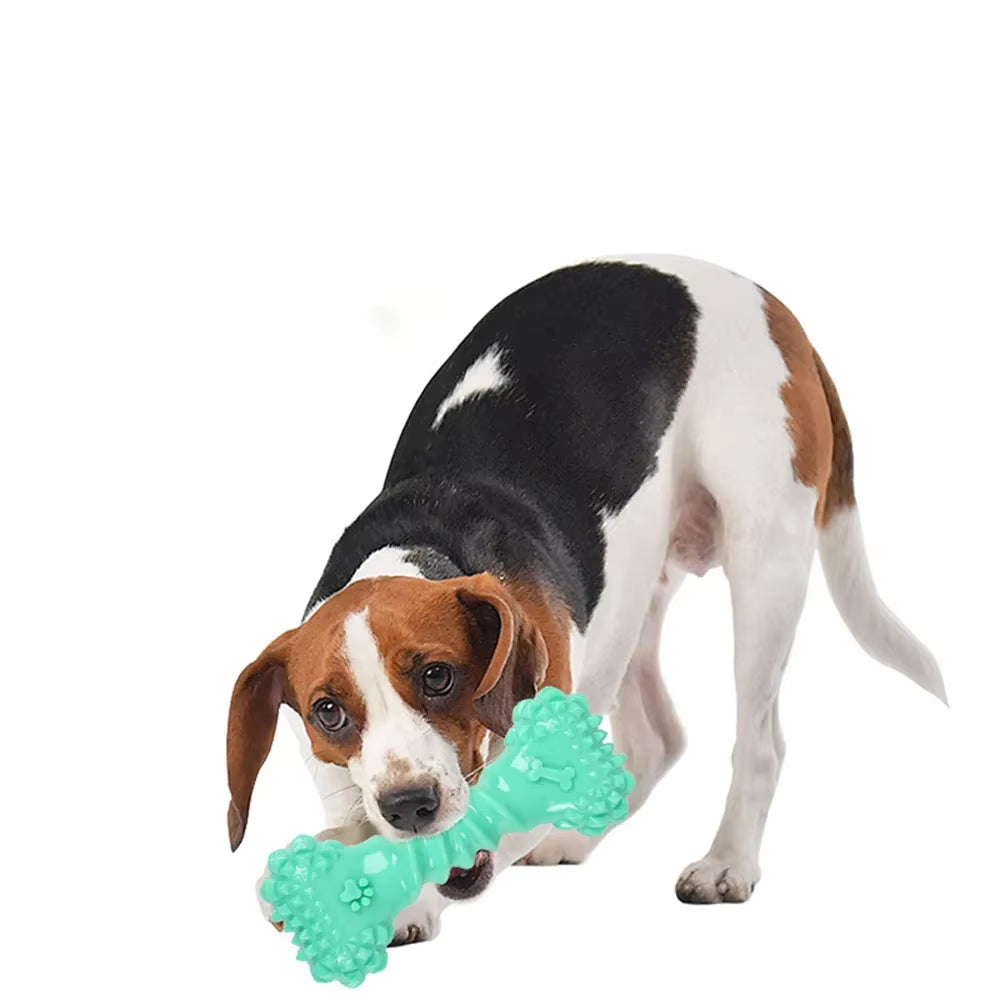 Osso de borracha verde para cães 🐾💚