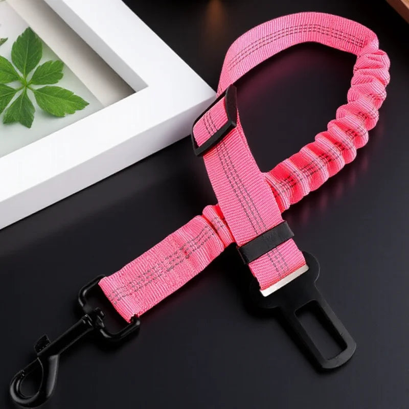 Cinto de segurança para cães