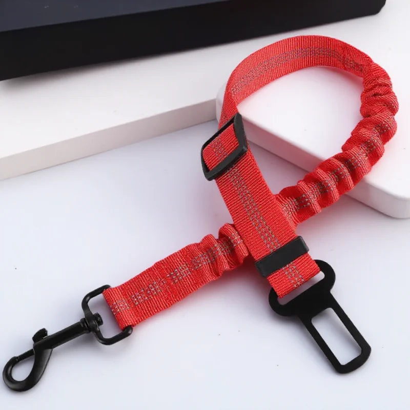 Cinto de segurança para cães