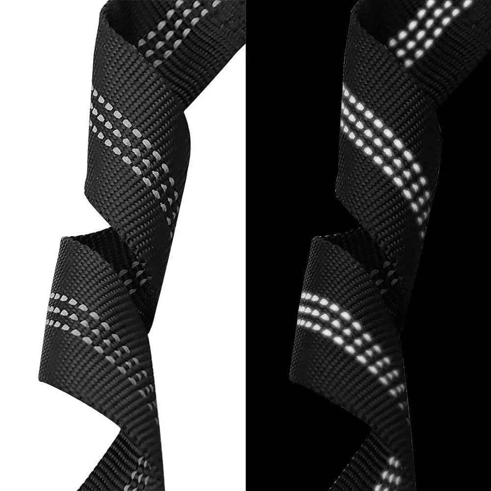 Cinto de segurança para cães