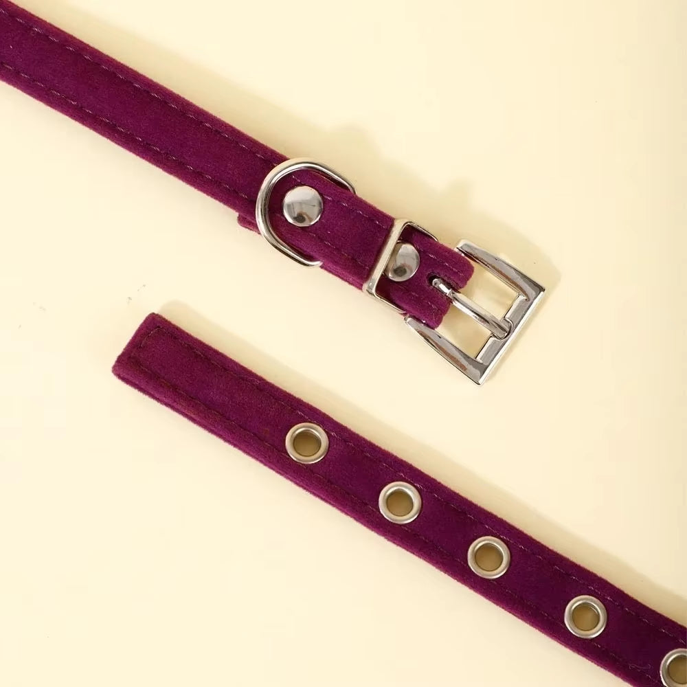 Coleira elegante com laço roxa para gatos 🐾💜