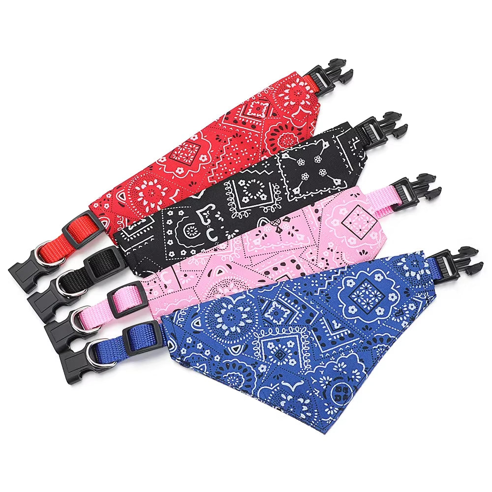 Coleira bandana 🐶
