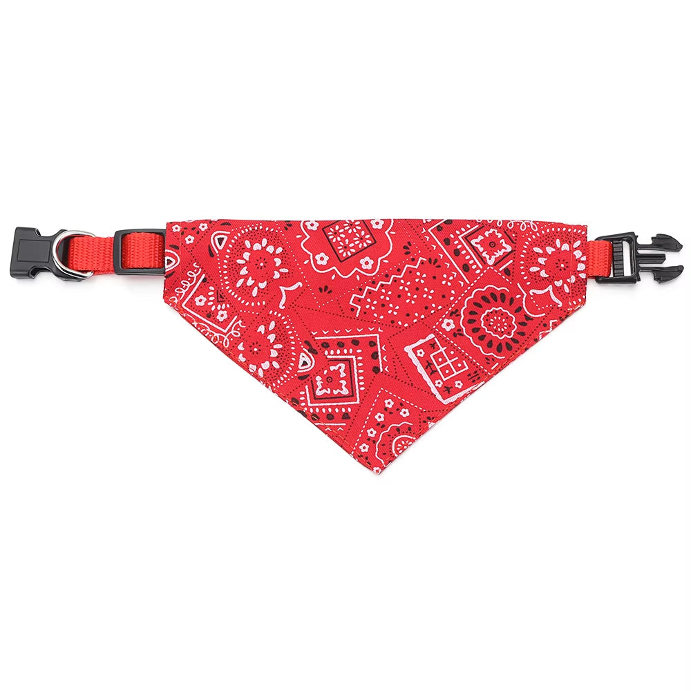 Coleira bandana 🐶