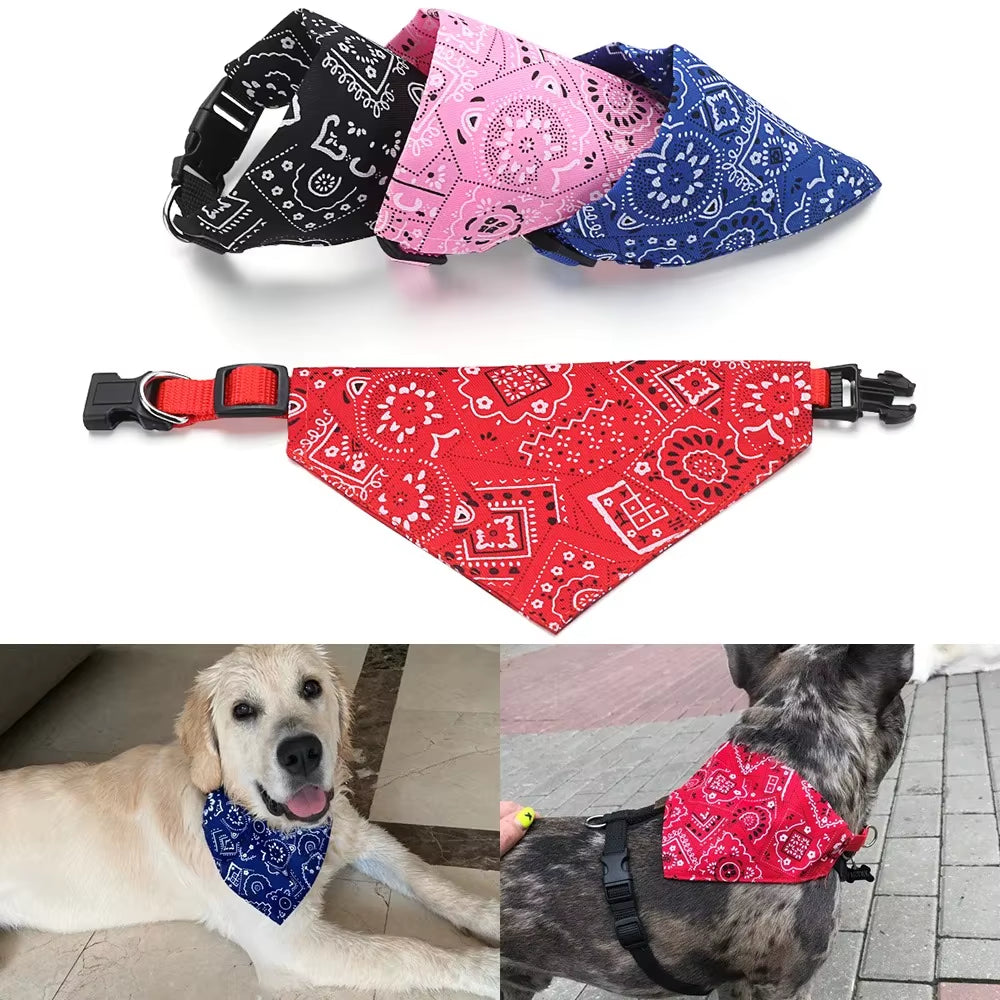 Coleira bandana 🐶
