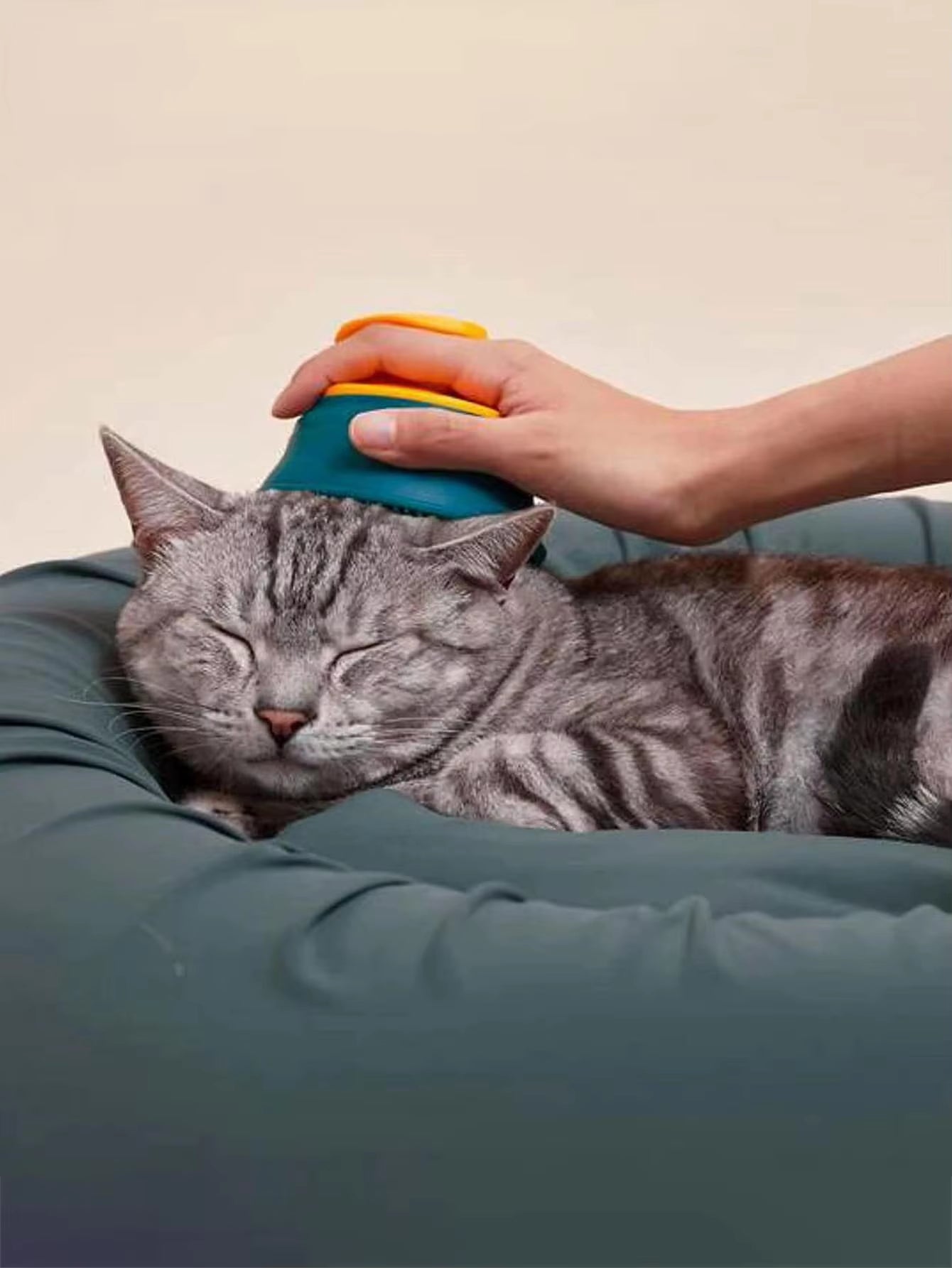 Escova de mão verde 🐾💚