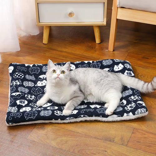Cama azul escura para gatos 🐾💙